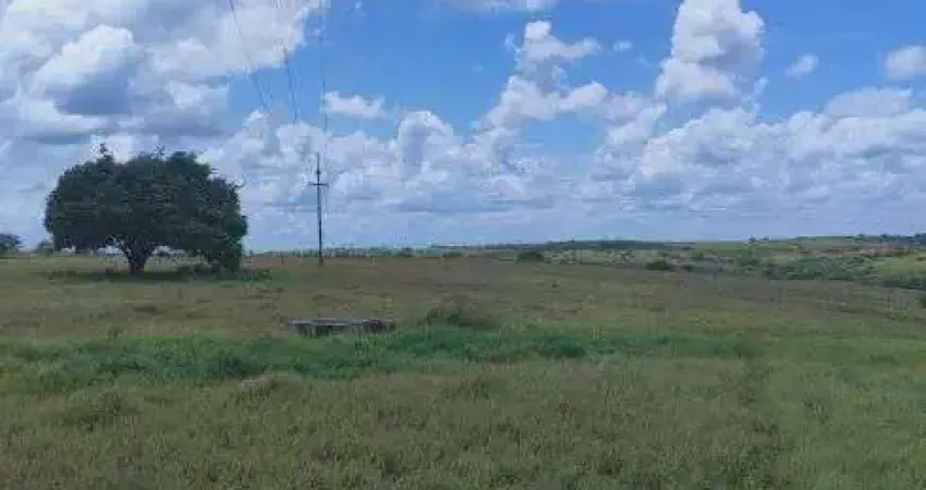 Chácara / sítio com 3 quartos à venda no Centro, Monte Alegre 