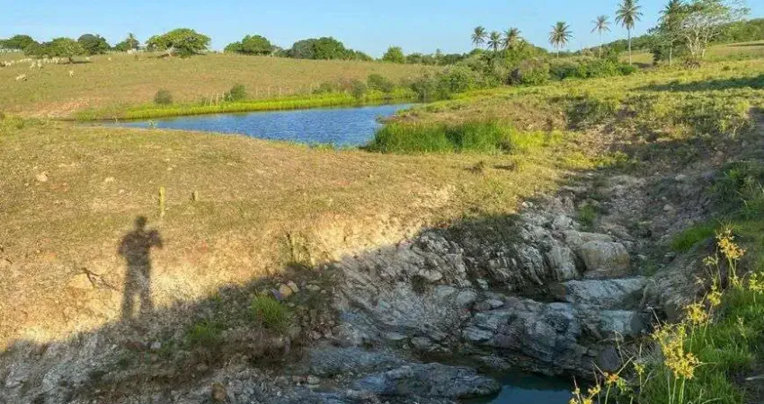 Fazenda de porteira fechada 20 hectares na região de Monte Alegre com estrutura de porteira fechada