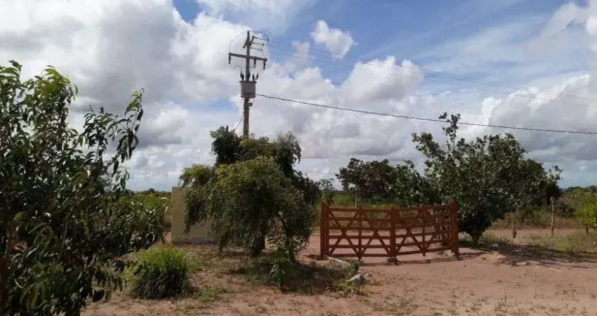 Otima Granja com 3 hectares na região de Ceará Mirim