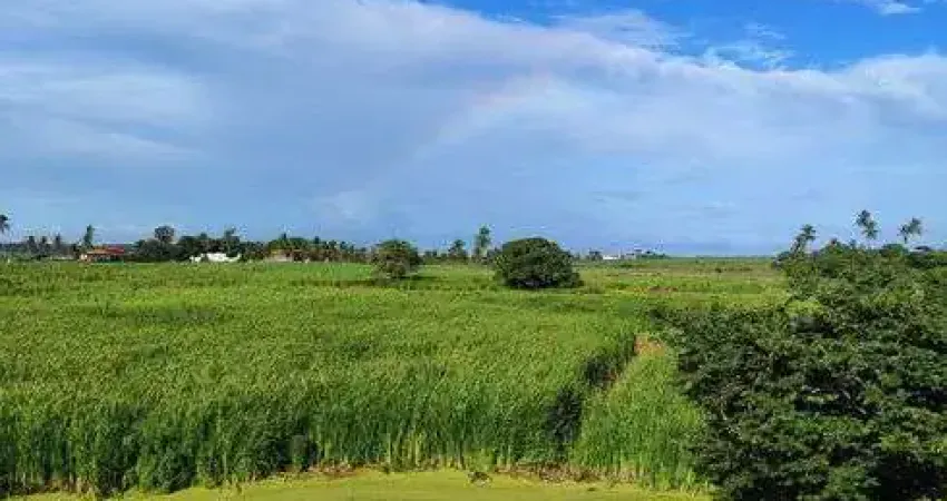 Fazenda com 55 hectares em São José de mipibu frente para BR101 com excelente localização etc.