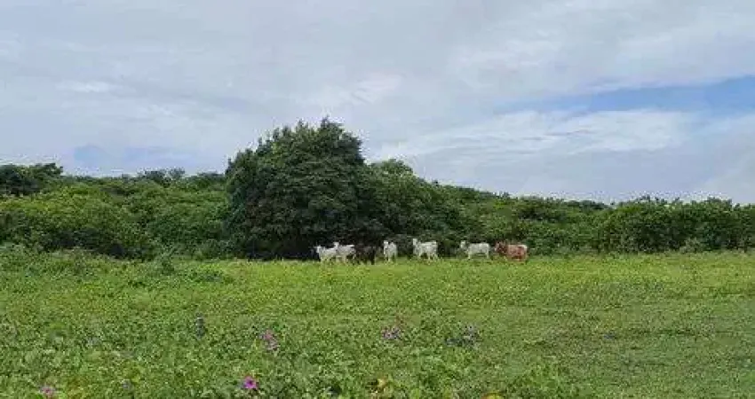 Excelente Fazenda com 30 hectares na região de Monte Alegre