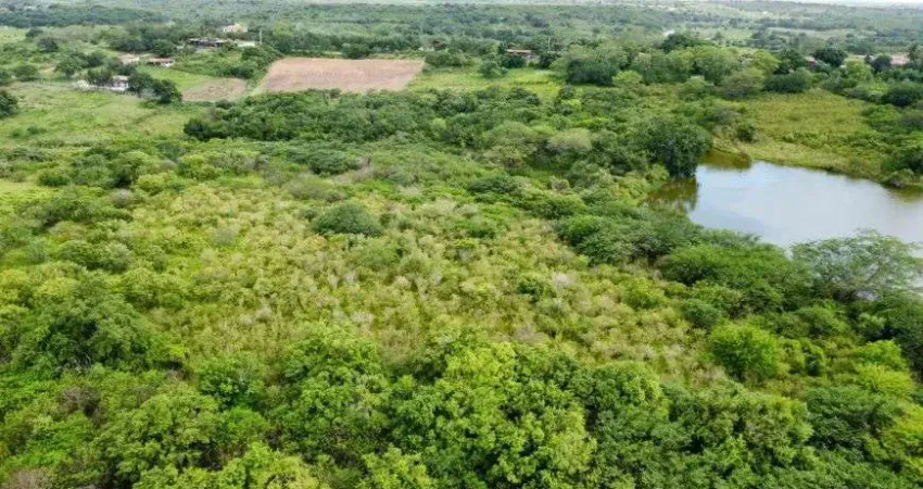 fazenda com 300 hectares na região de Ielmo marinho cortada pelo rio protegi
