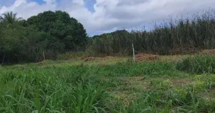 granja com 12 hectares na região de são Jose de mipibu