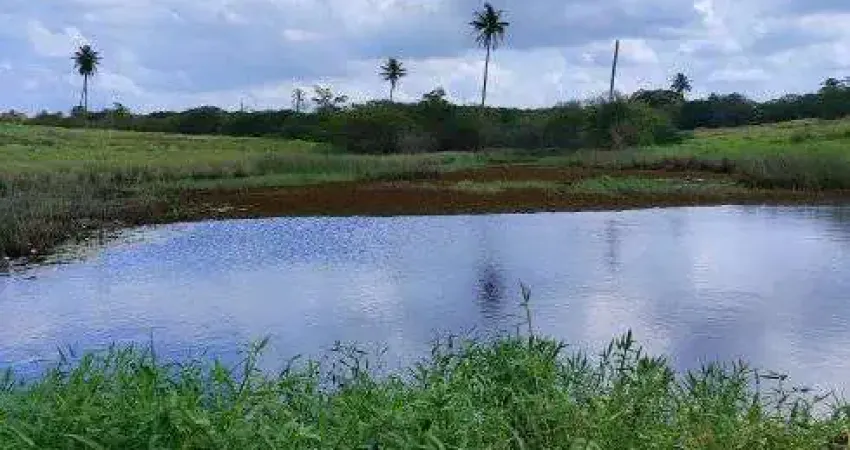 fazenda com 103.8 hectares próximo a escola agrícola de jundiá boa de pasto e água