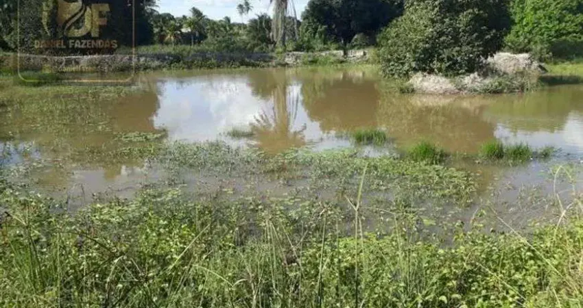 Linda Fazenda com 15 hectares estruturada de tudo na região de vera cruz
