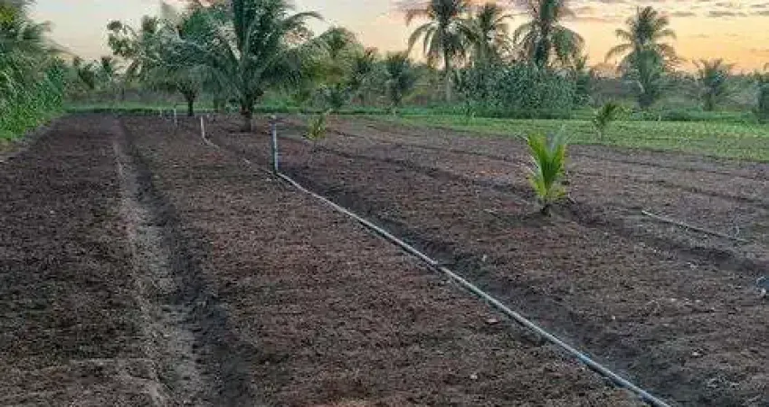 Fazenda/Sítio/Chácara com 7.3 hectares próximo a monte alegre bem estruturada excelente localização