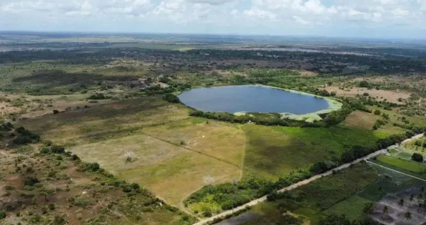 fazenda com 60 hectares próximo do aeroporto com uma excelente localização e estrutura