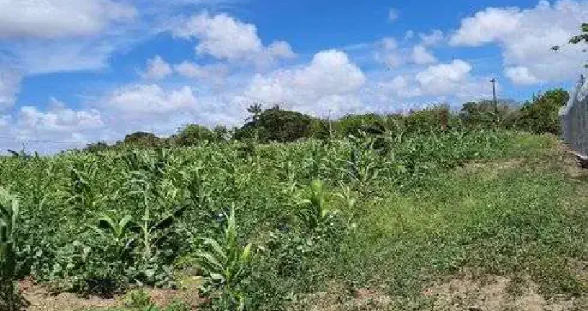Granja com 14 hectares em punau estruturada rio perene etc