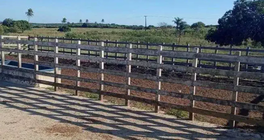 Chácara / sítio com 4 quartos à venda no Centro, Monte Alegre 