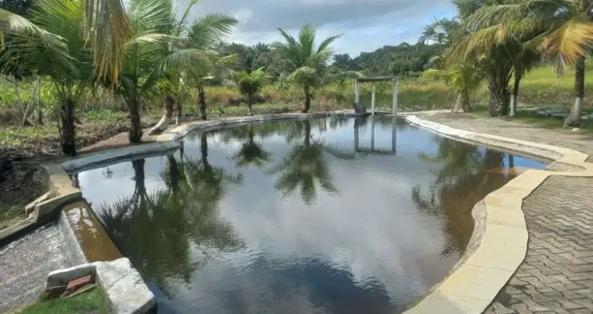 fazenda com 80 hectares no Catu em Goianinha estruturada com 2 rios perenes