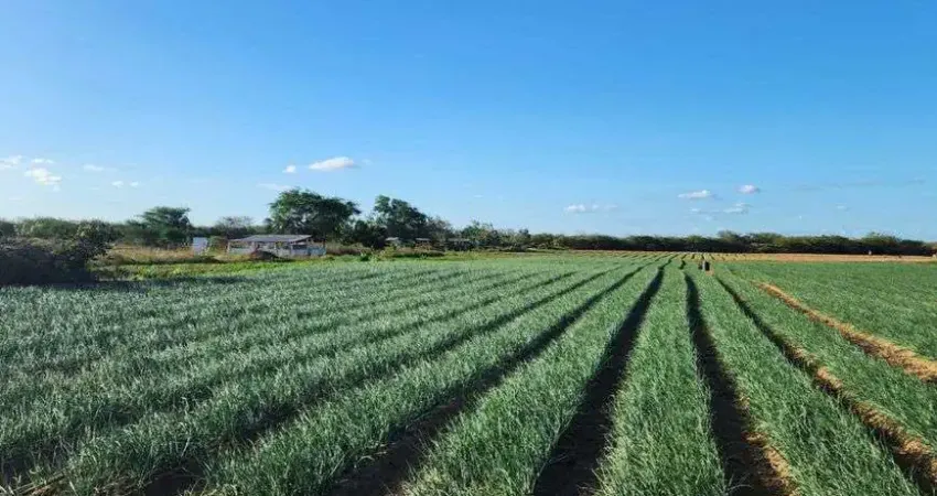Fazenda com 34 hectares na região de Jandaíra-RN com plantio de cebola 