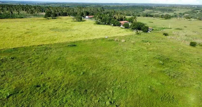 Fazenda/Sítio/Chácara para venda tem 80.5 hectares direto com o proprietário estudamos proposta