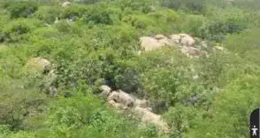 fazenda com 36 hectares com licença para exploração de Pedreira em angicos na Br304