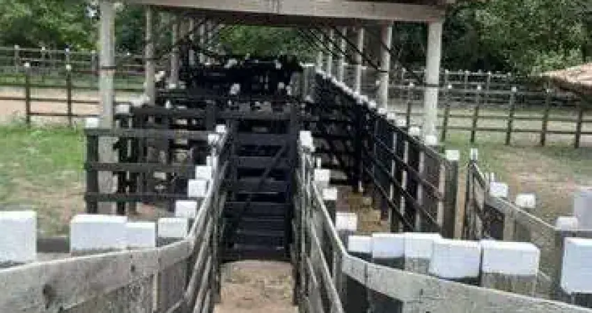 Fazenda/Sítio/Chácara 498 hectares com uma estrutura esuberante riquíssima em tudo pasto água etc.