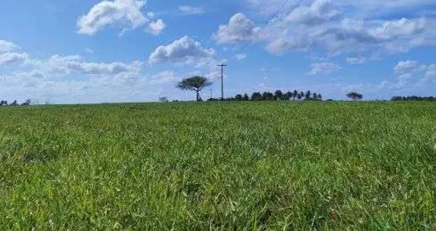 fazenda com 230 hectares no vale de Monte Alegre riquíssima em água e pasto