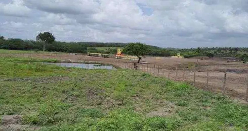 Chácara / sítio com 3 quartos à venda no Centro, Monte Alegre 