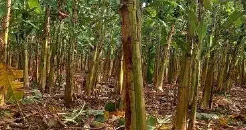 Excelente Fazenda na região de Touros com 60 hectares