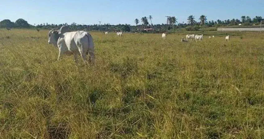Chácara / sítio com 3 quartos à venda no Centro, Monte Alegre 