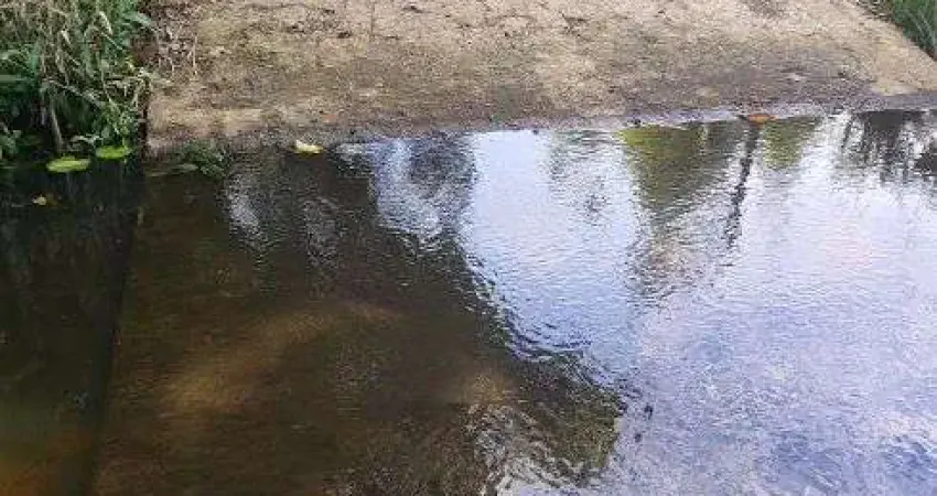 fazenda com 125 hectares plana e com 80% desmatada top para condomínio fechado