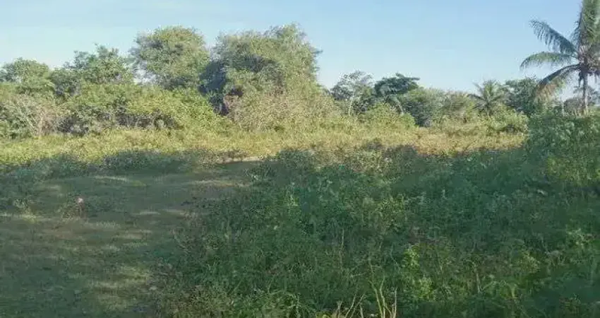 Excelente Fazenda com 49 hectares na região de São Gonçalo do Amarante