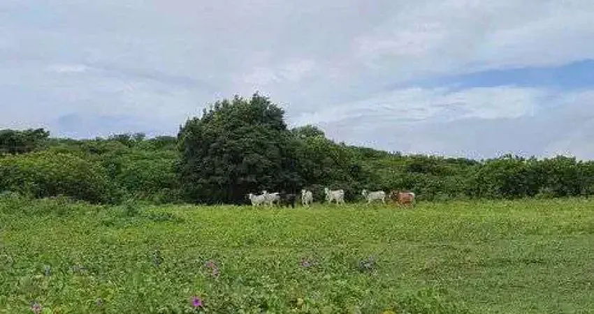 Chácara / sítio com 4 quartos à venda no Centro, Monte Alegre 