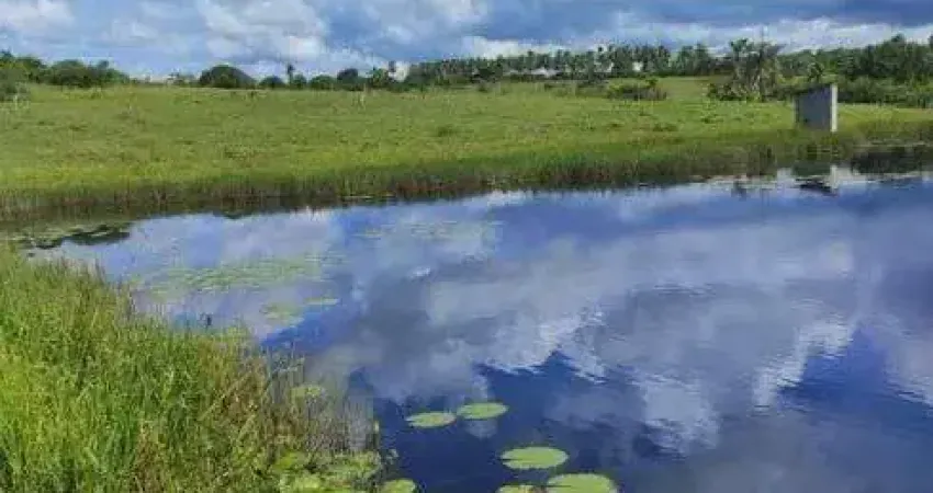 Chácara / sítio com 3 quartos à venda no Centro, Monte Alegre 