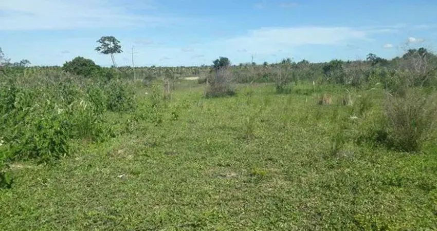 Excelente Fazenda com 320 hectares no córrego de São Matheus Município de boa saúde