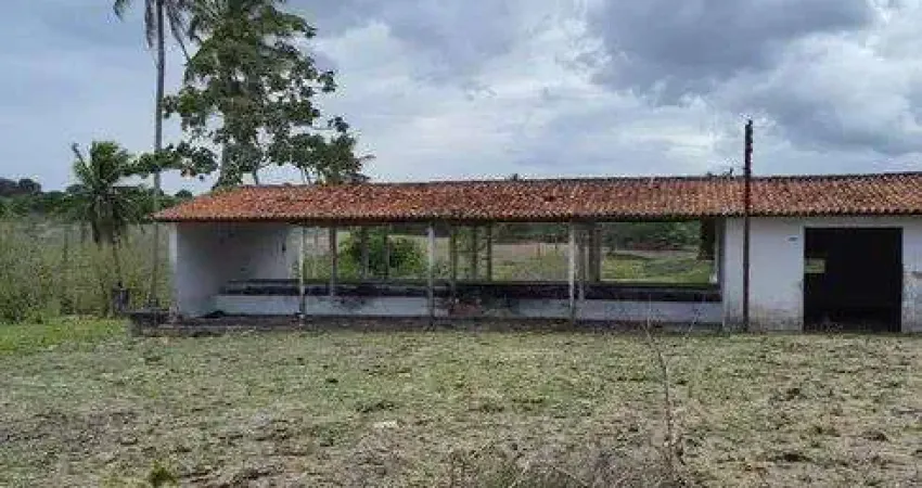 Fazenda com 150 hectares na região de São Gonçalo do Amarante