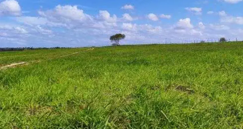 fazenda com 220 hectares na região de Monte Alegre plantada e estruturada bastante água