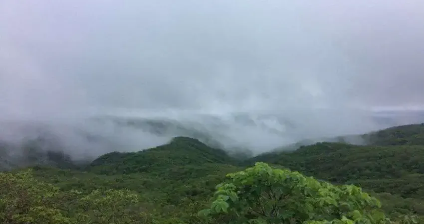 Fazenda com 611 hectares em cerro corá praticamente dentro da cidade com grande potencial
