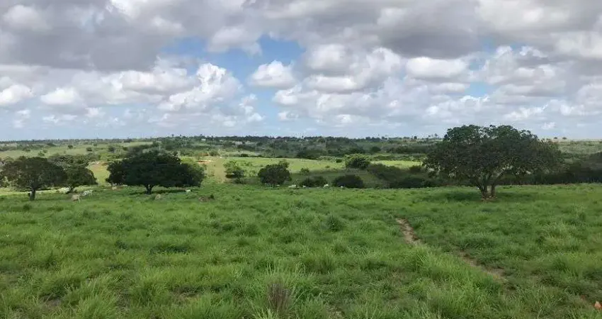 Chácara para venda com 20 hectares na região de monte alegre plantada com rio perene e poço tubular