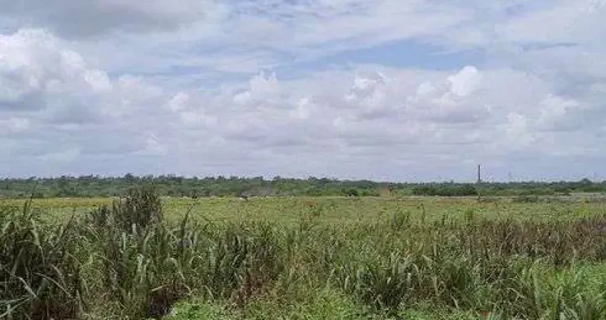 Ótima Granja com 16 hectares na região de Vera cruz