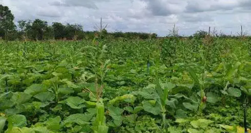 fazenda com 47 hectares no arena municipal de São José de Mipibu-RN com poço tubular e rio perene