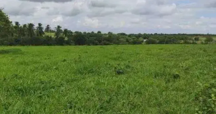 fazenda com 1.000 hectares de porteira fechada na região de vera cruz