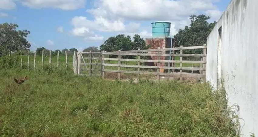 Linda Fazenda com 95 hectares na região de vera cruz