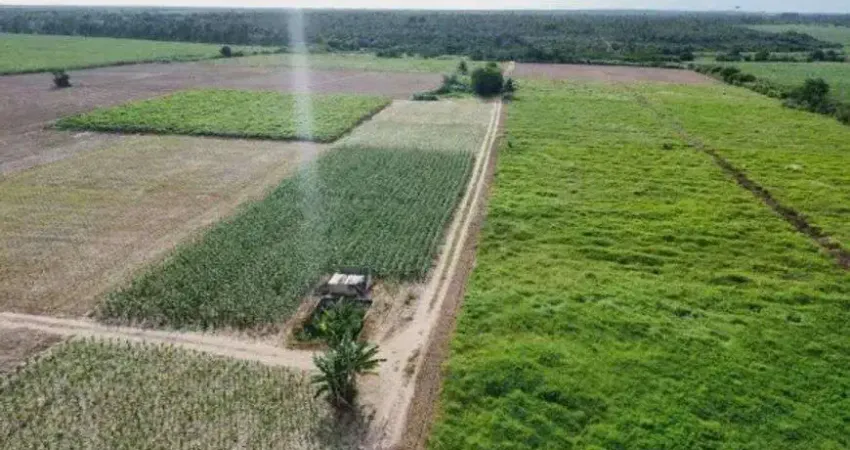 fazenda com 48 hectares no arena municipal de São José de Mipibu-RN