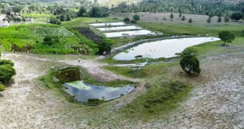 fazenda com 40 hectares em Monte Alegre com grande potencial