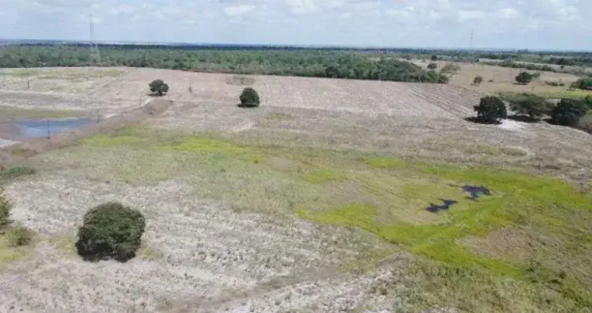 fazenda com 300 hectares entre Macaiba e Parnarmirim