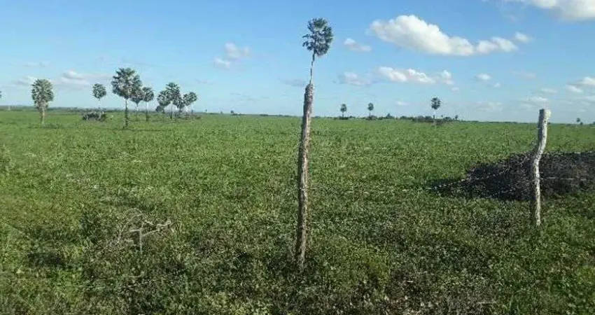Linda Fazenda com 190 hectares entre lagoa de pedras e Serrinha