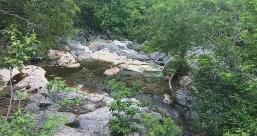 Chácara / sítio com 3 quartos à venda no Centro, Cerro Corá 
