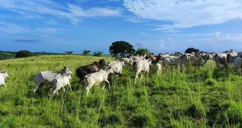 Fazenda/Sítio/Chácara com 38 hectares com casa sede casa de caseiro rio plantada curral poços etc