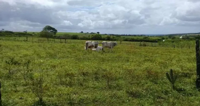 Chácara / sítio com 3 quartos à venda no Centro, Monte Alegre 