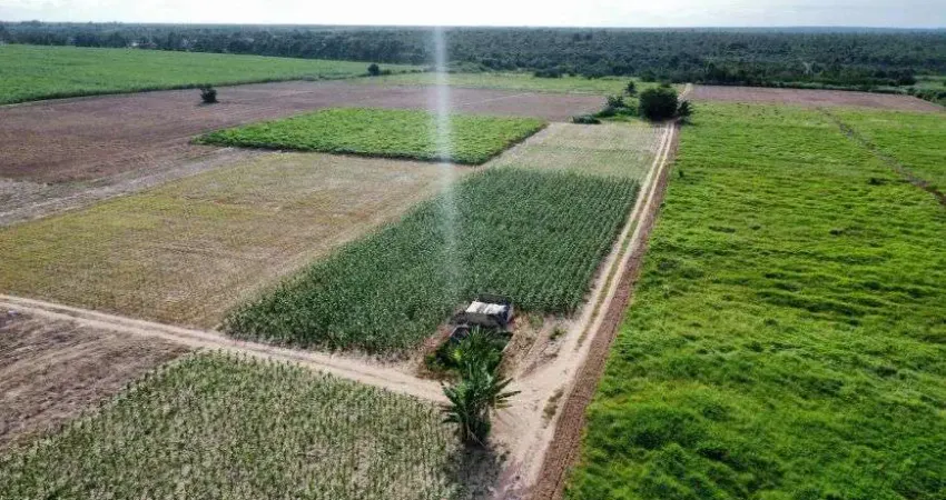 fazenda com 47 hectares no arena terra para plantação de coqueiros e irrigação