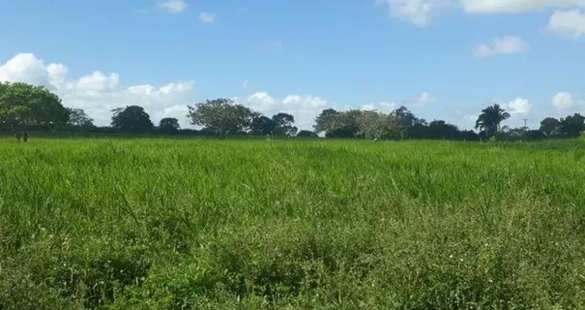 Chácara / sítio com 3 quartos à venda no Centro, Vera Cruz 