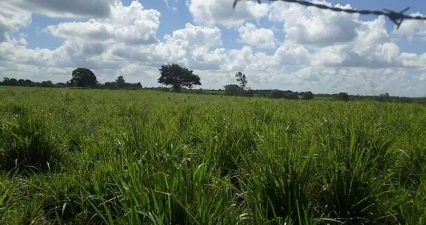 Chácara / sítio com 3 quartos à venda no Centro, Vera Cruz 