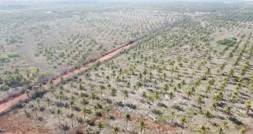 fazenda com 279 hectares na região de Rio do fogo excelente para coqueiros