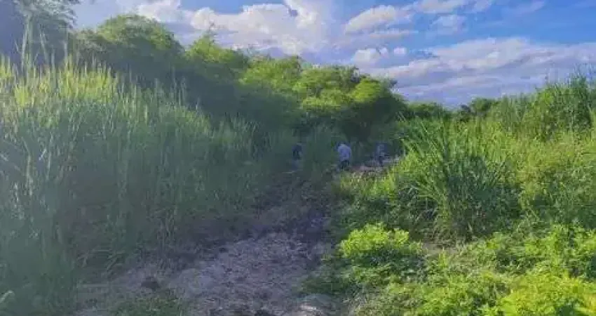 Fazenda com 55 hectares em São José de mipibu frente para BR101