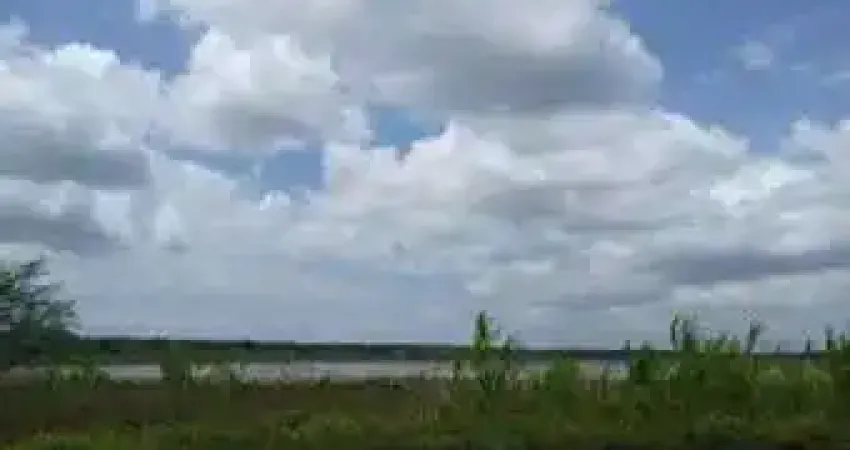 Ótima Fazenda com 110 hectares nas Marias próximo a cajazeiras