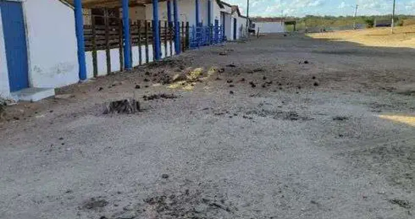 Chácara / sítio com 3 quartos à venda no Centro, Tangará 