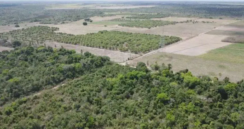 Fazenda com 1.300 hectares na região de Rio do fogo
